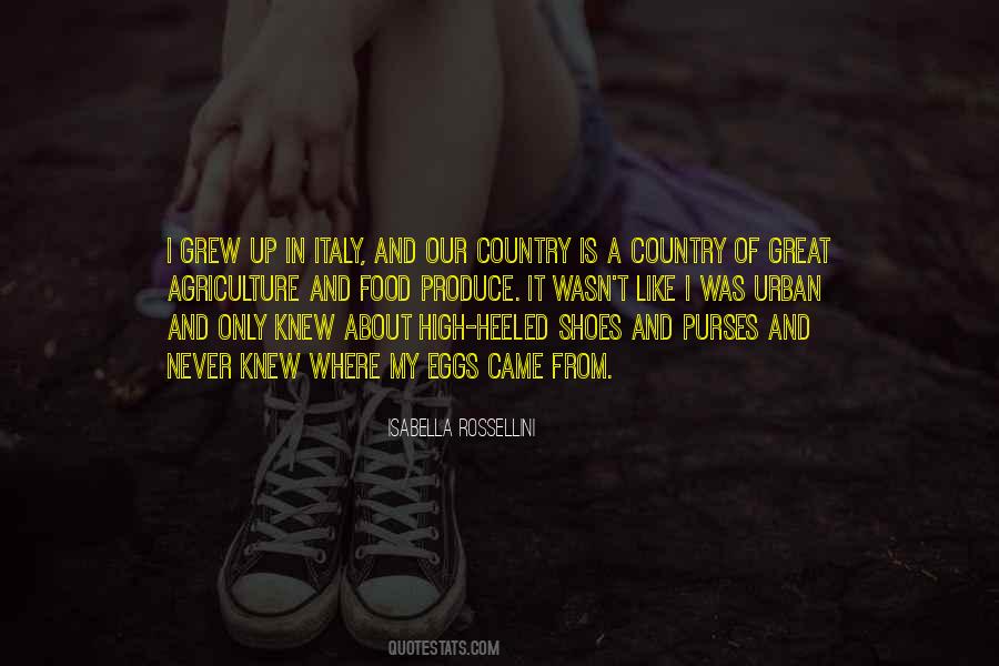 Heeled Shoes Quotes #797087