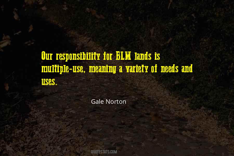 Our Responsibility Quotes #1128123