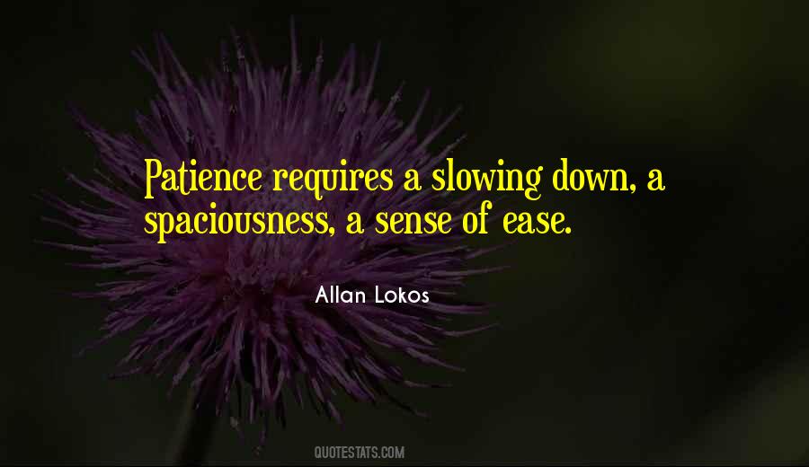 Quotes About Slowing Down #639054