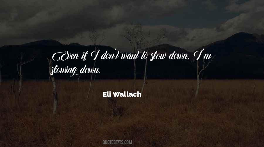 Quotes About Slowing Down #672115