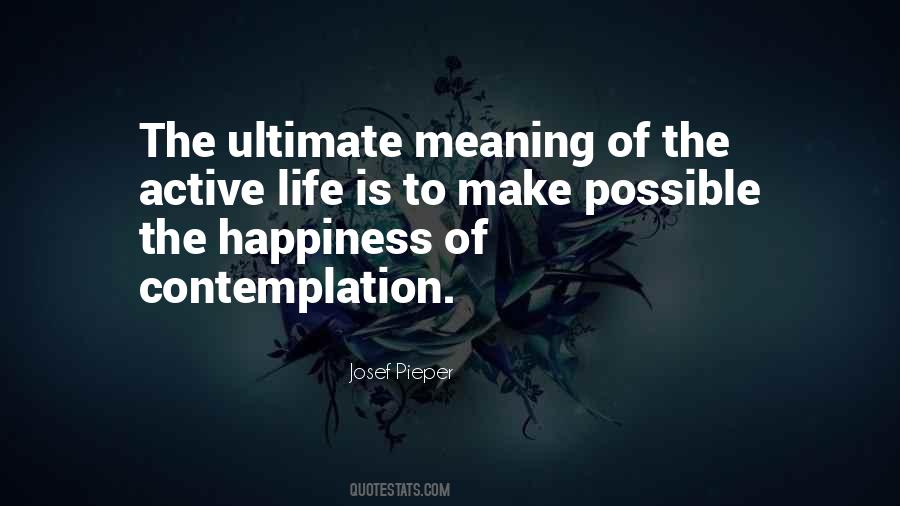 Quotes About Ultimate Happiness #1723237