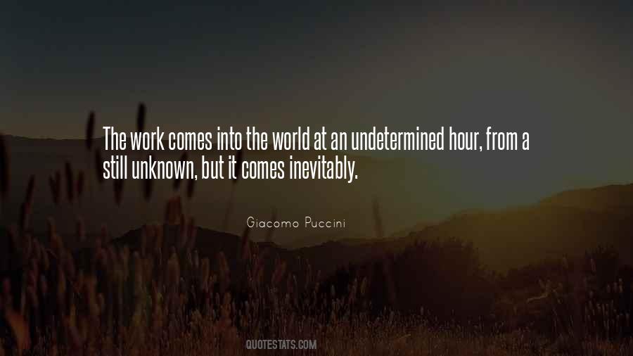 Quotes About Undetermined #1353919