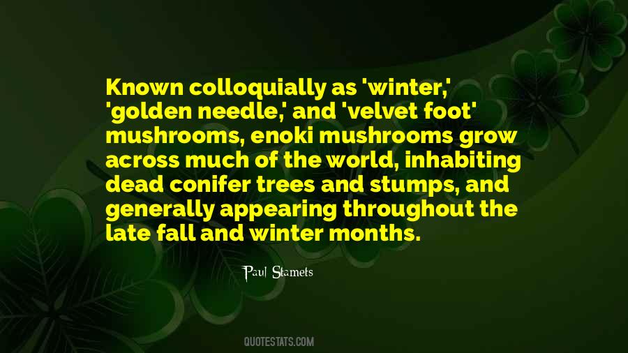 Quotes About Fall And Winter #1494395