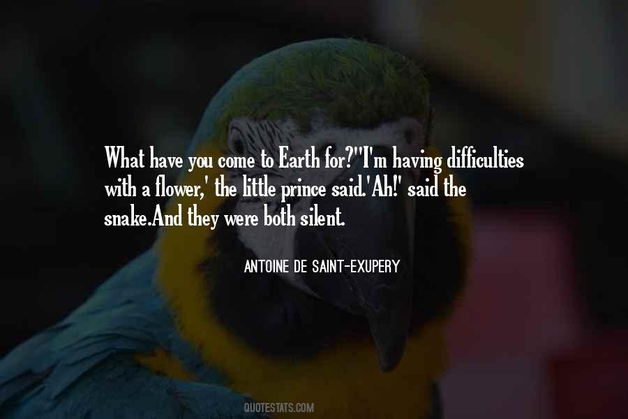 Exupery Little Prince Quotes #1417729