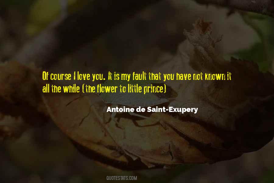 Exupery Little Prince Quotes #1633684