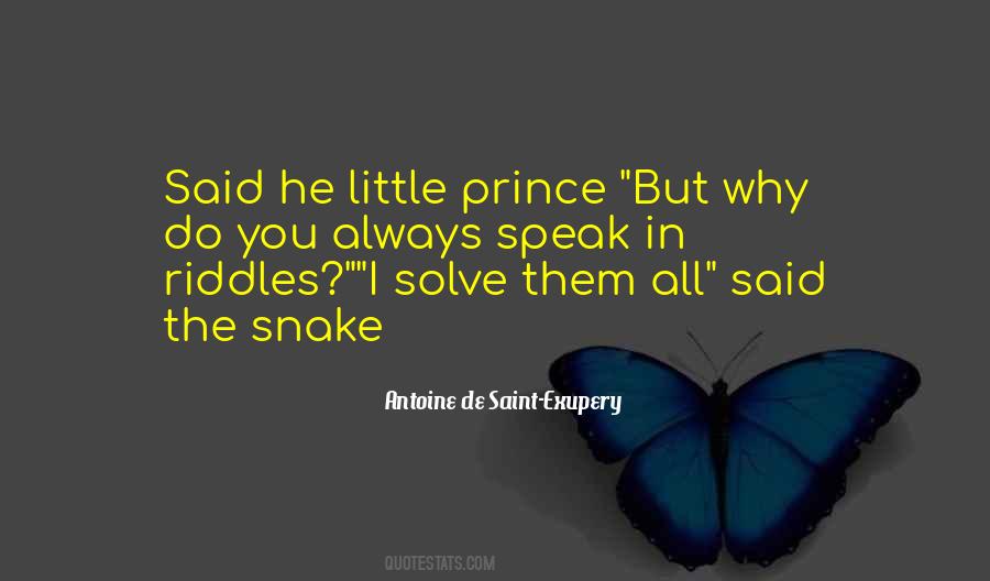 Exupery Little Prince Quotes #319910