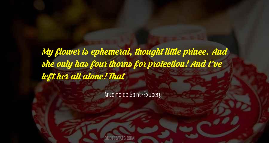 Exupery Little Prince Quotes #579018