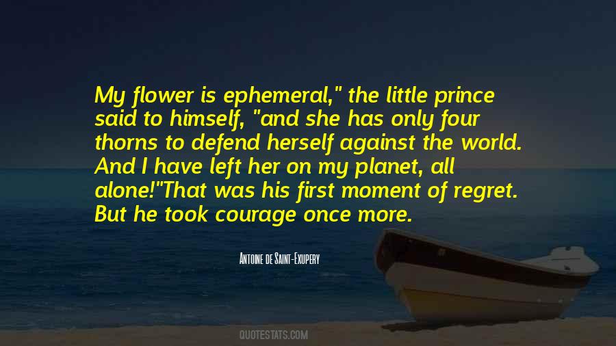 Exupery Little Prince Quotes #848610