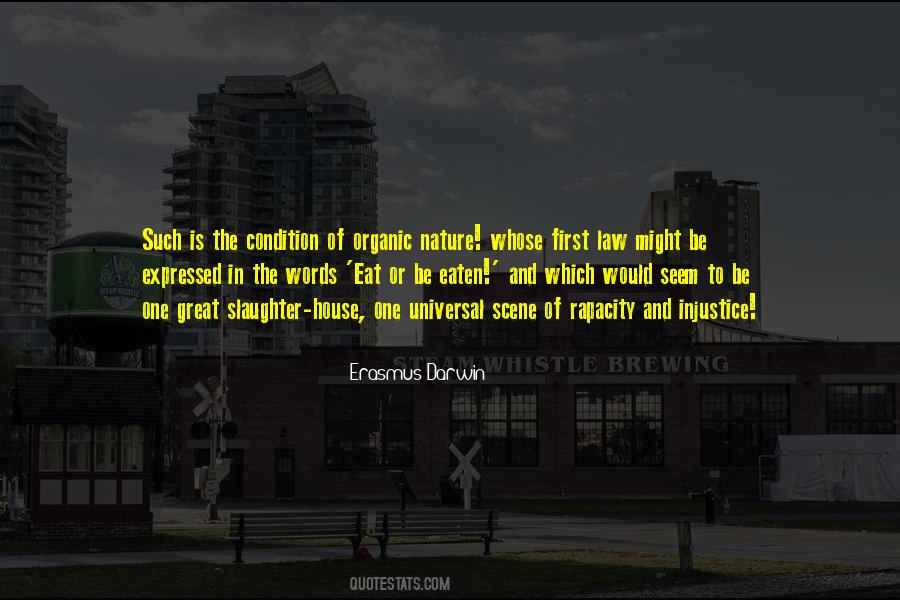 Quotes About Injustice In Life #373825