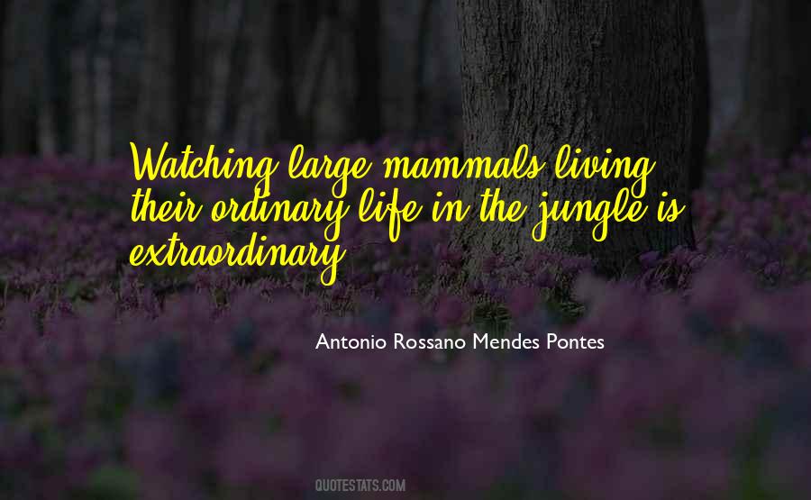 Life Is A Jungle Quotes #77813