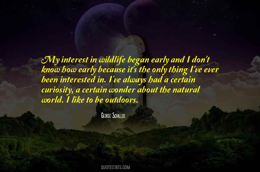 Quotes About Curiosity And Wonder #459054