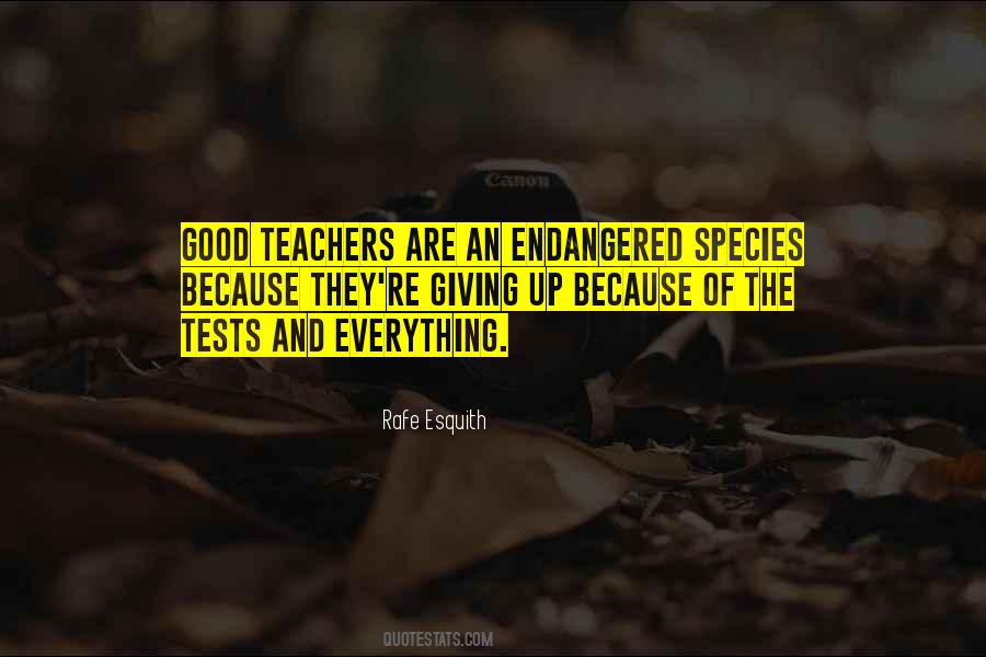 Quotes About Giving Up Everything #1656980