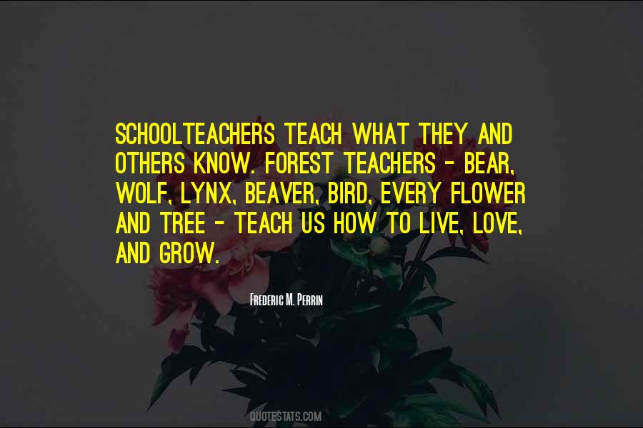 Quotes About Teachers Love #567490