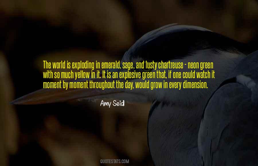A World Without Color Quotes #162255