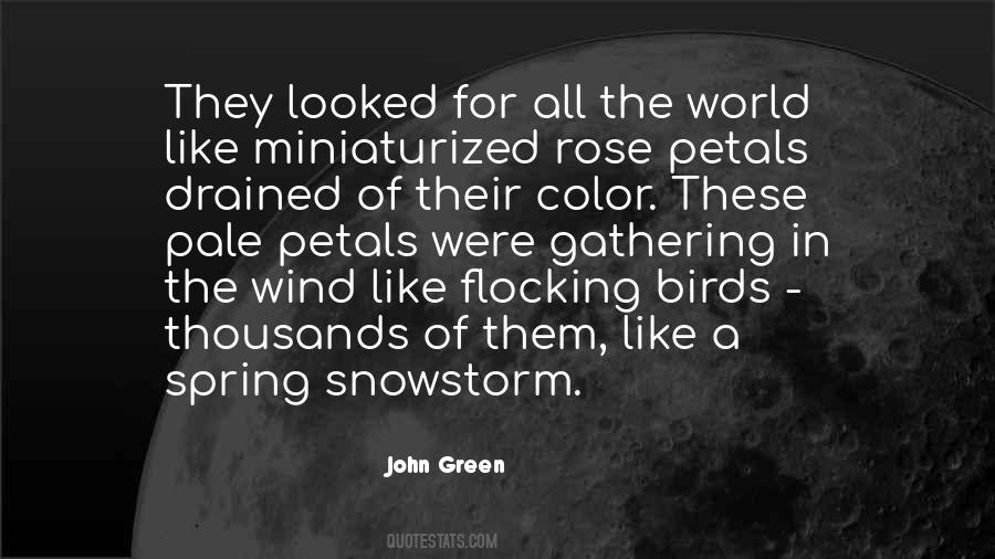 A World Without Color Quotes #173446