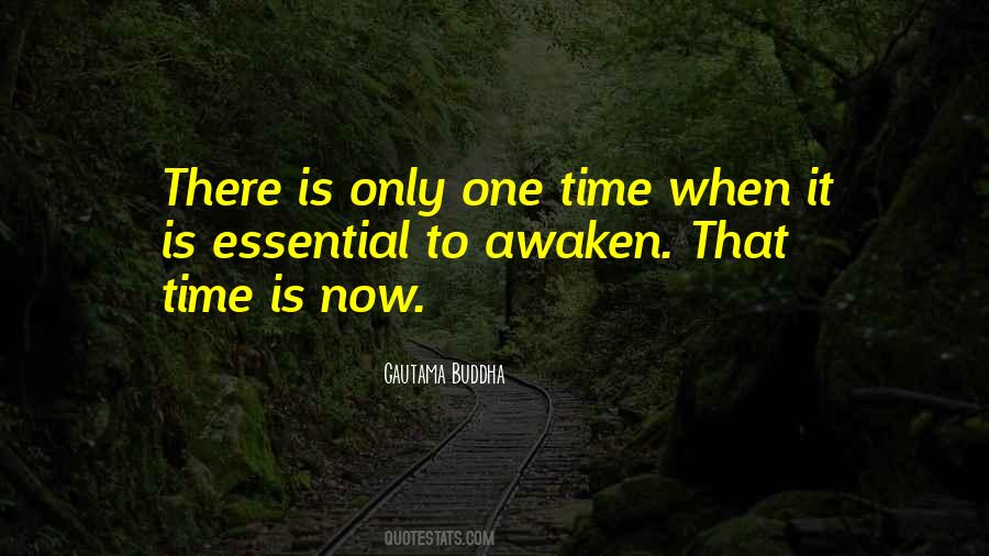 Time Buddha Quotes #1168905