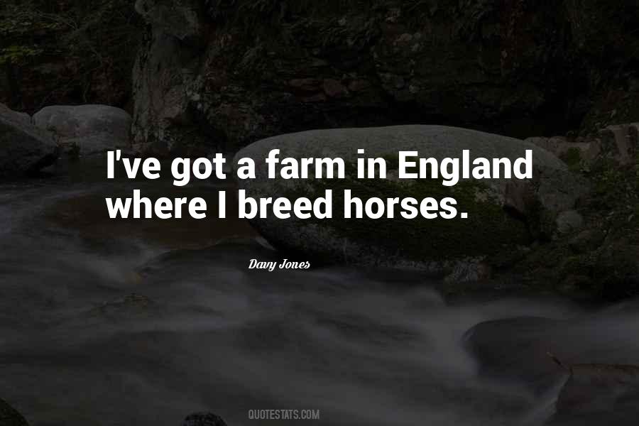 Quotes About Horses #1751373