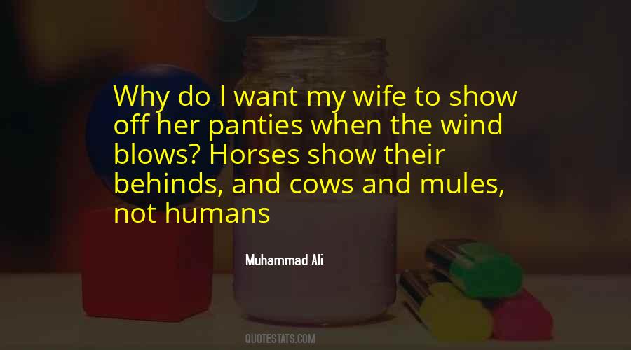 Quotes About Horses #76888 Quotes About Horses #76888