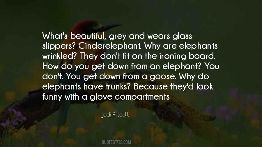 Quotes About Glass Slippers #1402025