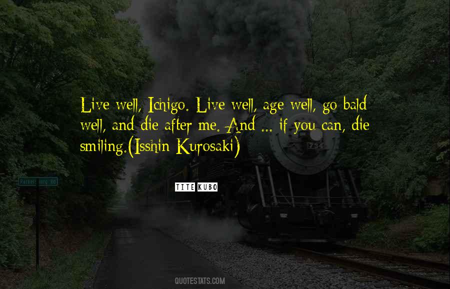 Bleach Ichigo Quotes #579226