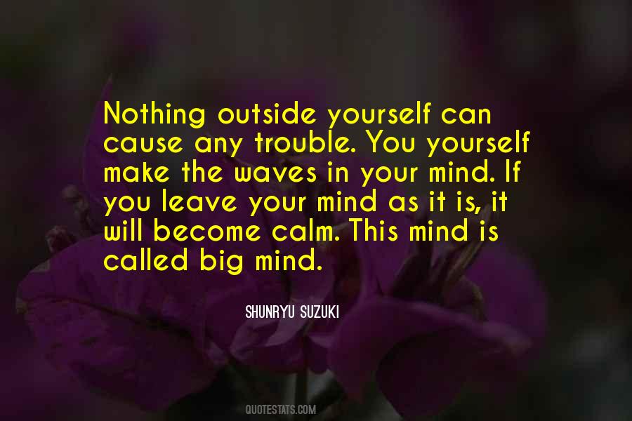 Calm The Mind Quotes #154144