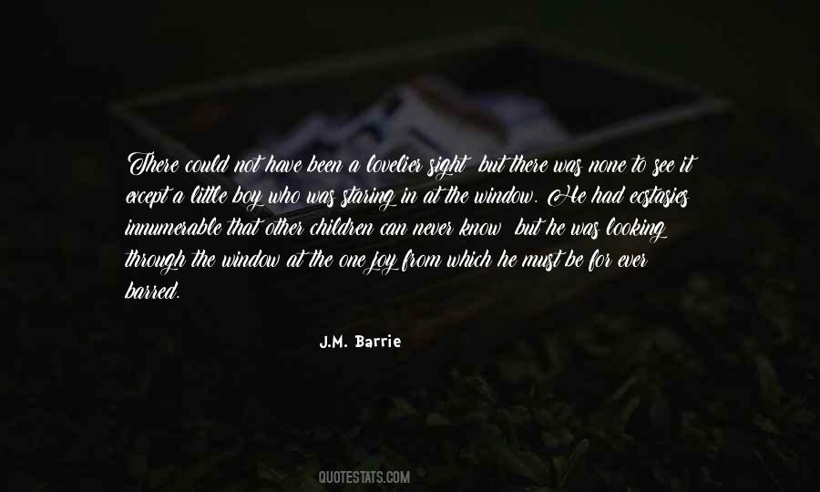 Joy Through Quotes #75992