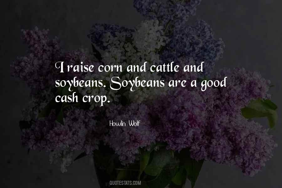 Good Corn Quotes #147256
