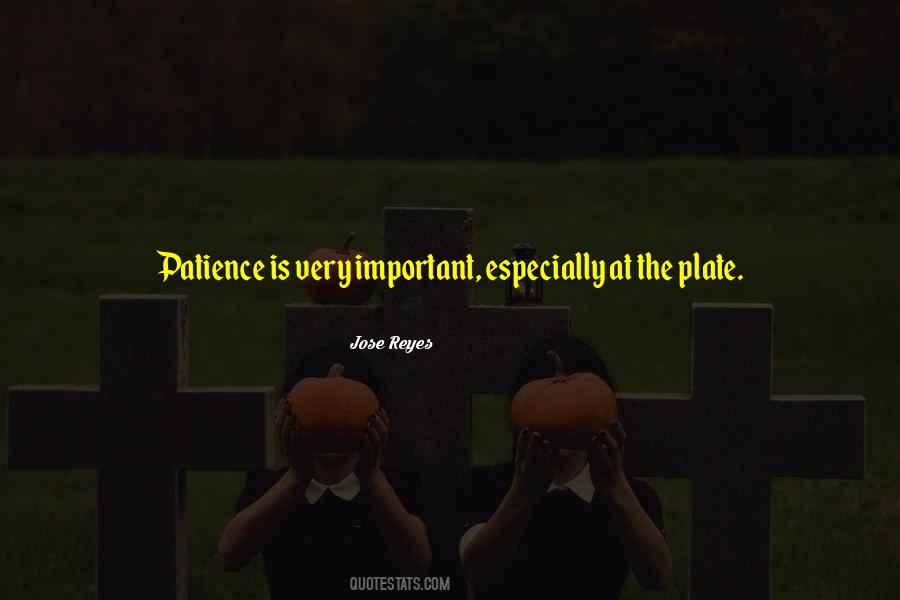 Simple Perfection Quotes #229334