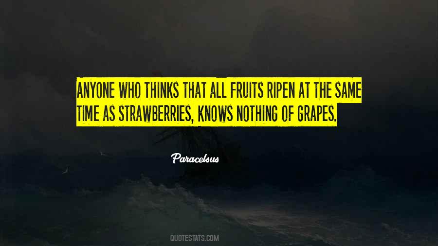 Quotes About Strawberries #1741600