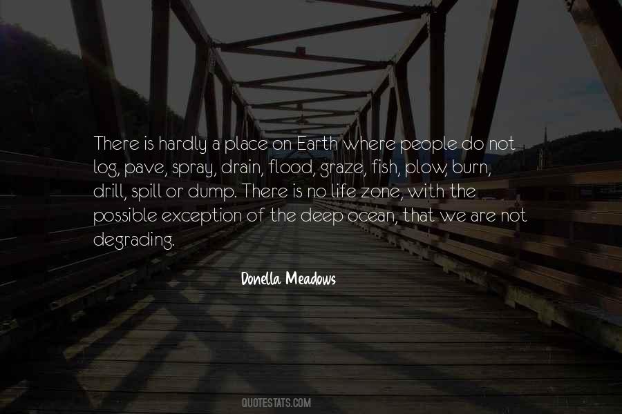 Quotes About Drill #1596805