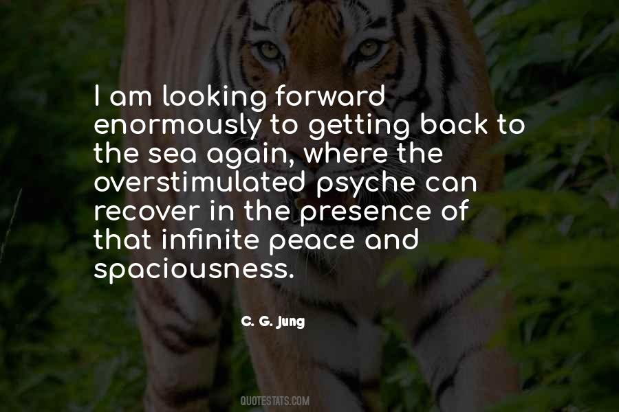 Quotes About Looking Back And Looking Forward #1511046