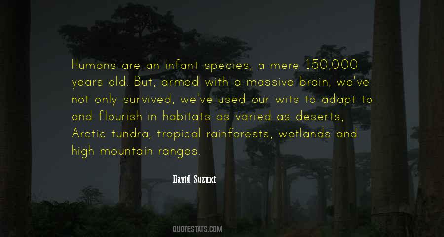 Quotes About Rainforests #398014