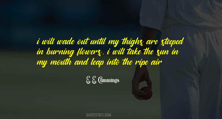 Wade Into Quotes #176146