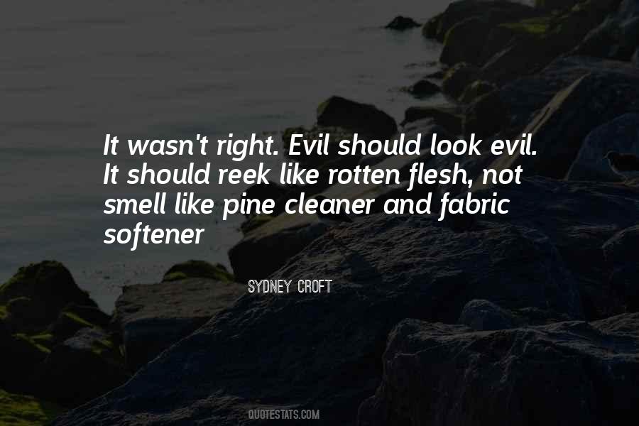 Quotes About Evil Look #620290