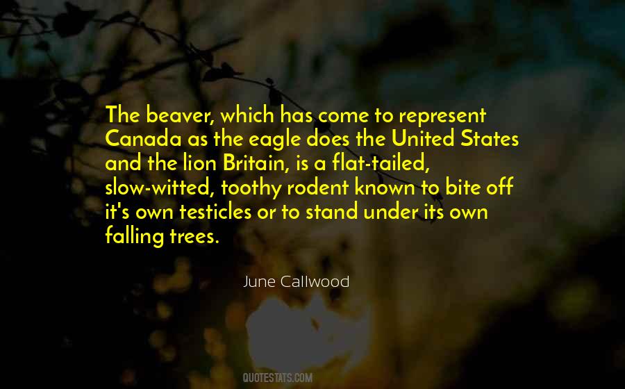 Quotes About Canada And The United States #1046030