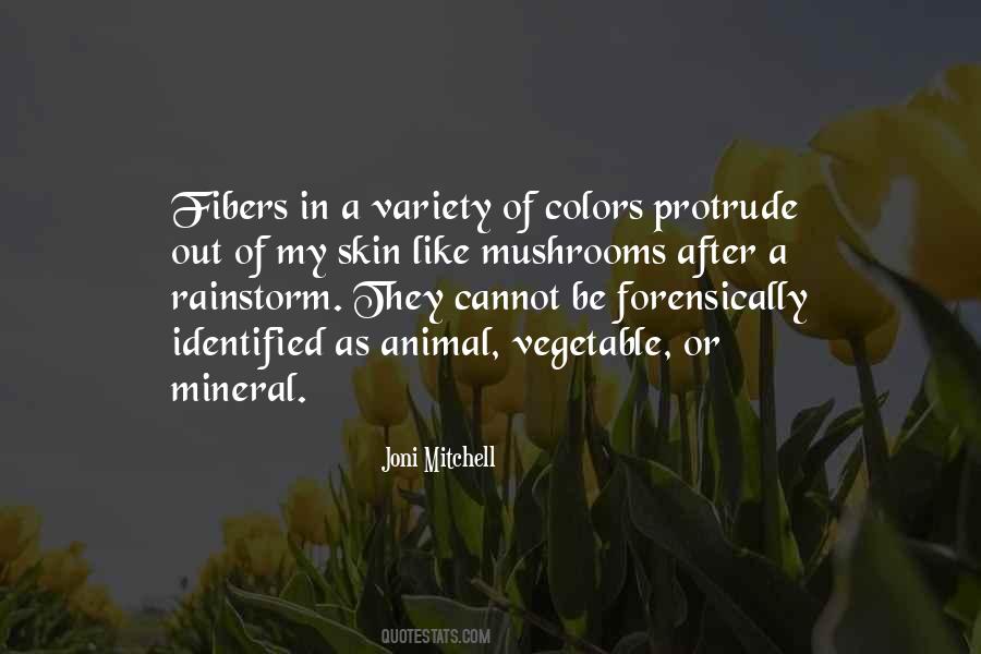 Quotes About Color Of Skin #165509