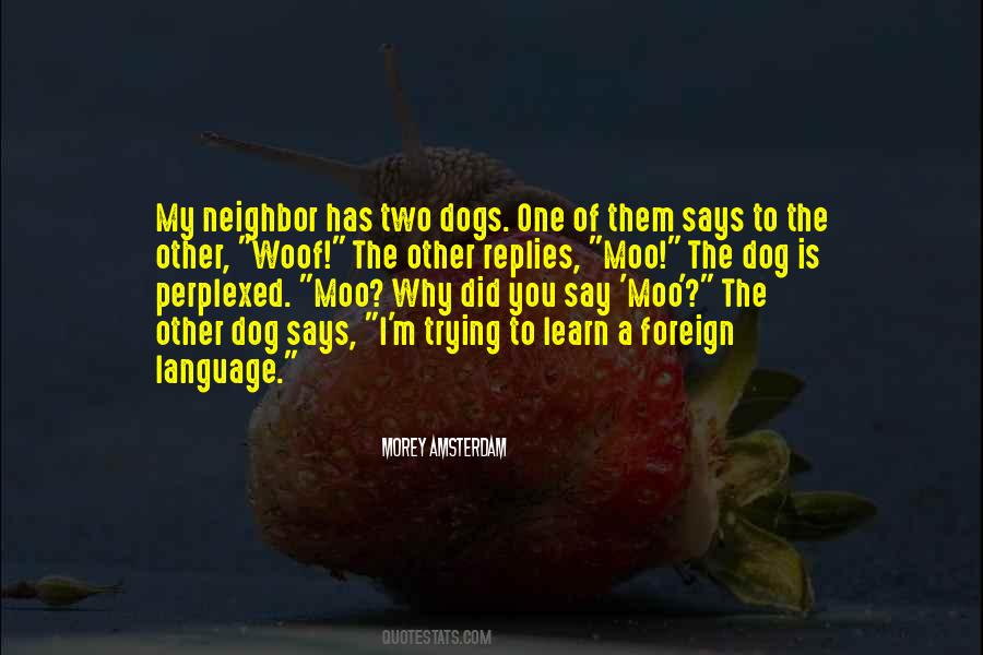 Quotes About Foreign Language #1768431