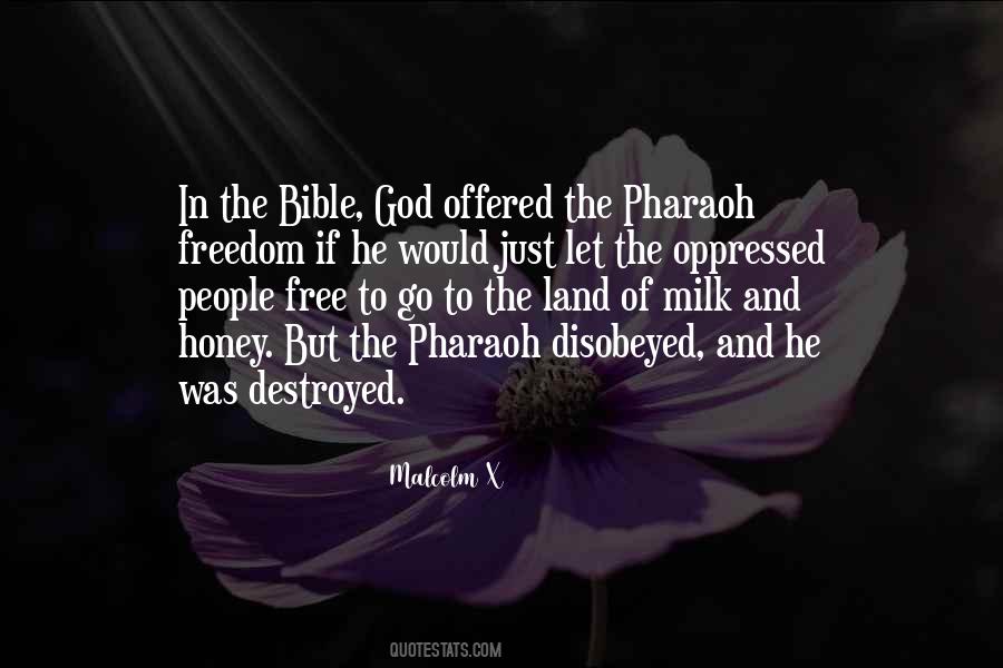 Disobeyed God Quotes #1158523