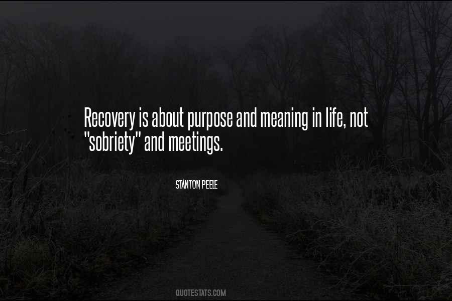 Quotes About Life Without Purpose #31847