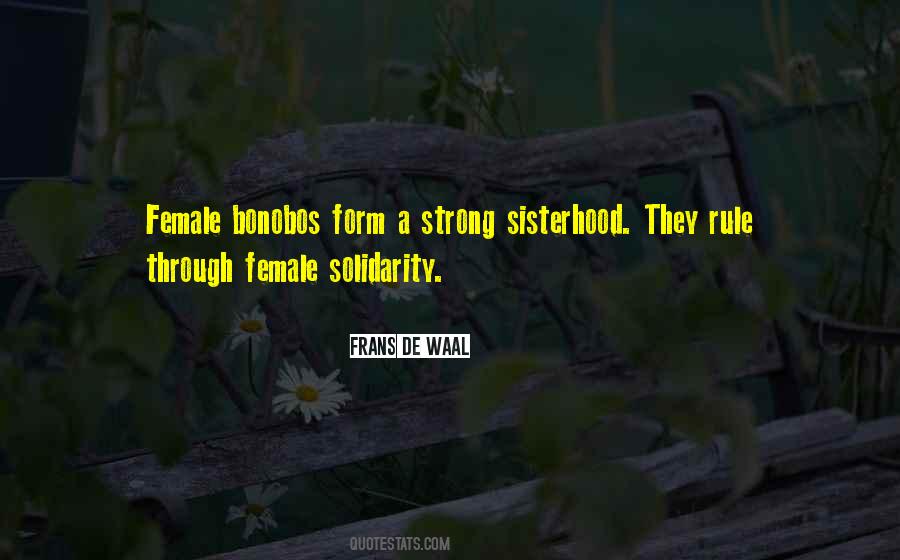 Quotes About Sisterhood #1740305