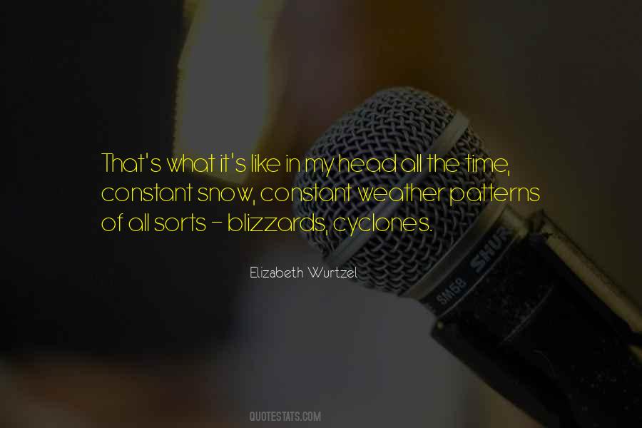 Quotes About Blizzards #959800