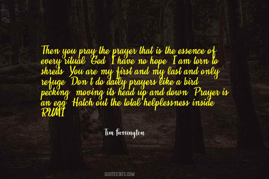 Torn From The Inside Out Quotes #149902