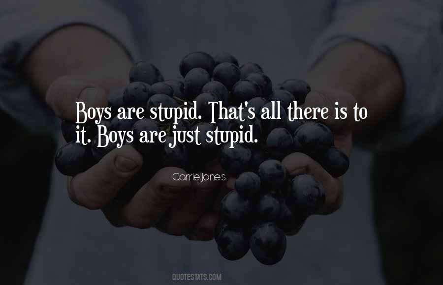 Stupid Boys Quotes #882157