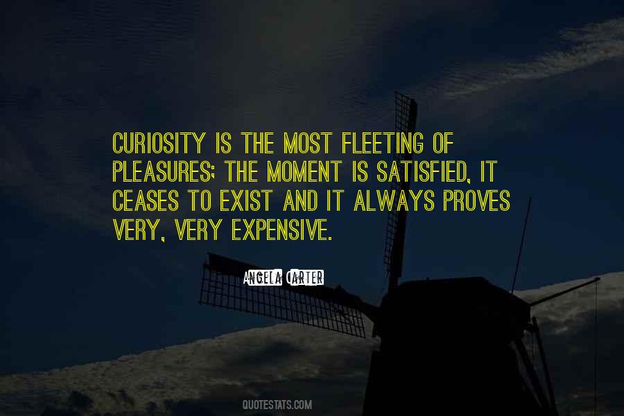 Expensive Pleasures Quotes #448488