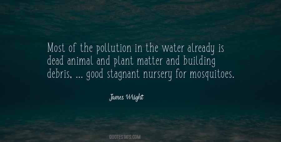 Quotes About Stagnant Water #762208