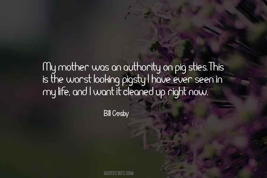 Quotes About Worst Mother #874085