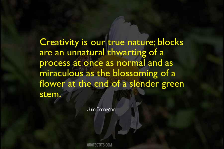 Quotes About A Blossoming Flower #1202220