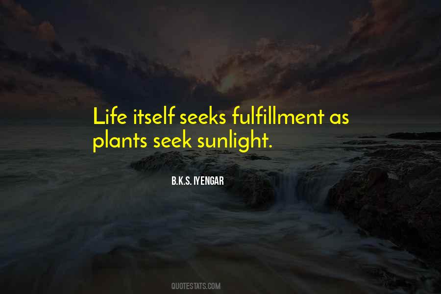 Life Fulfillment Quotes #87823