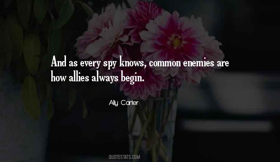 Quotes About Allies And Enemies #1600041