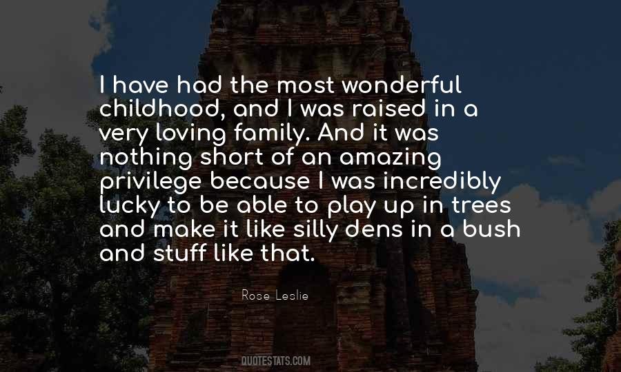 Quotes About A Wonderful Family #116673